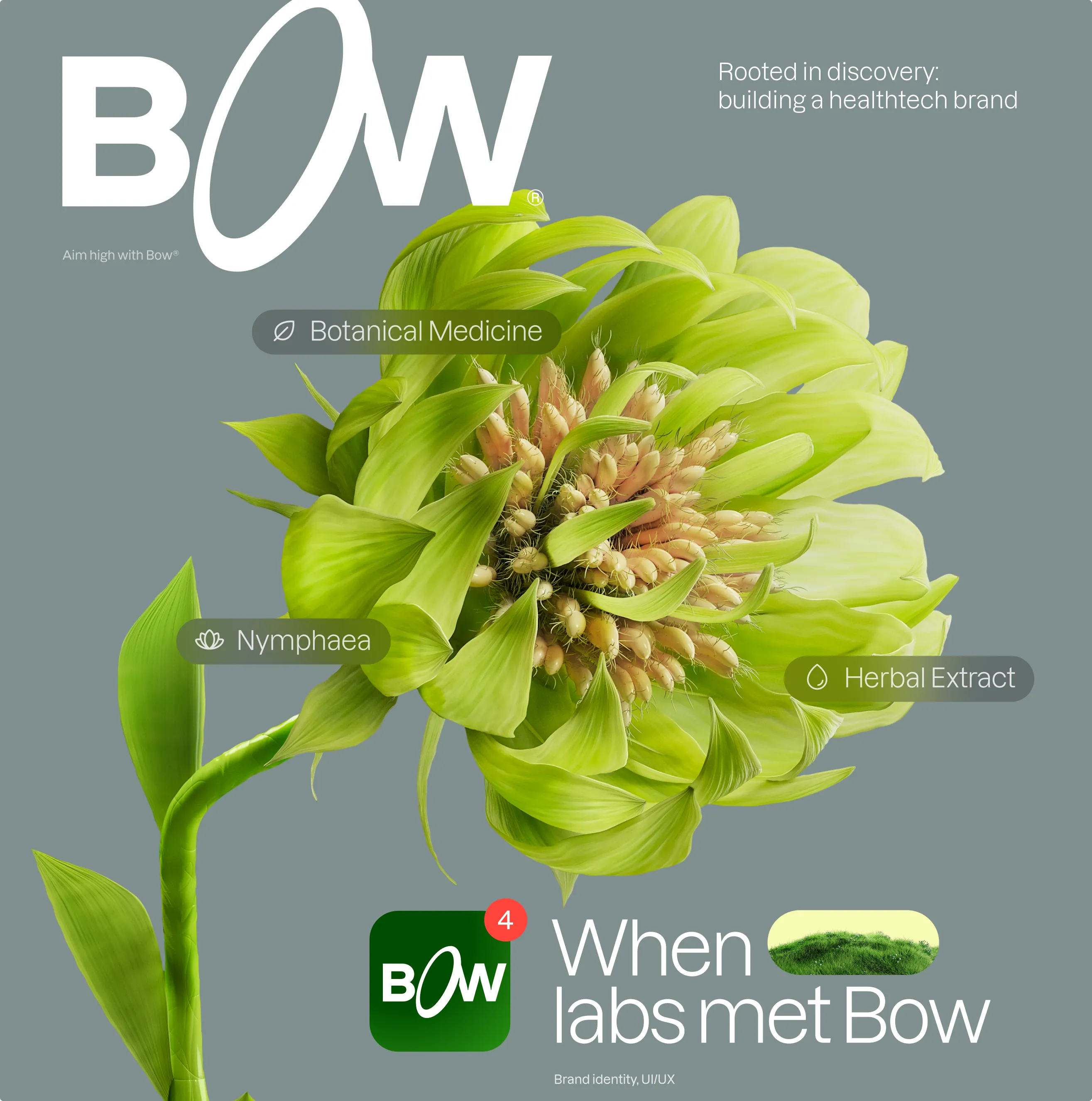 Bow brand hero: a bold white Bow wordmark over a bright green botanical bloom labeled Botanical Medicine, Nymphaea and Herbal Extract