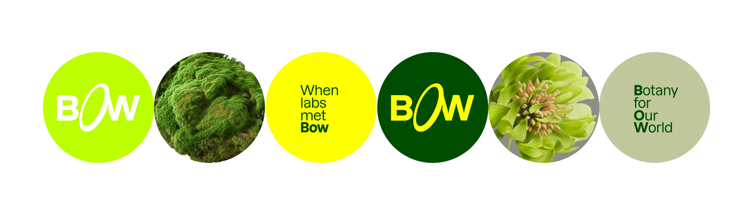 A row of circular brand marks and botanical photos: green Bow logo, moss, When labs met Bow, dark green Bow logo, a bloom, and Botany for Our World