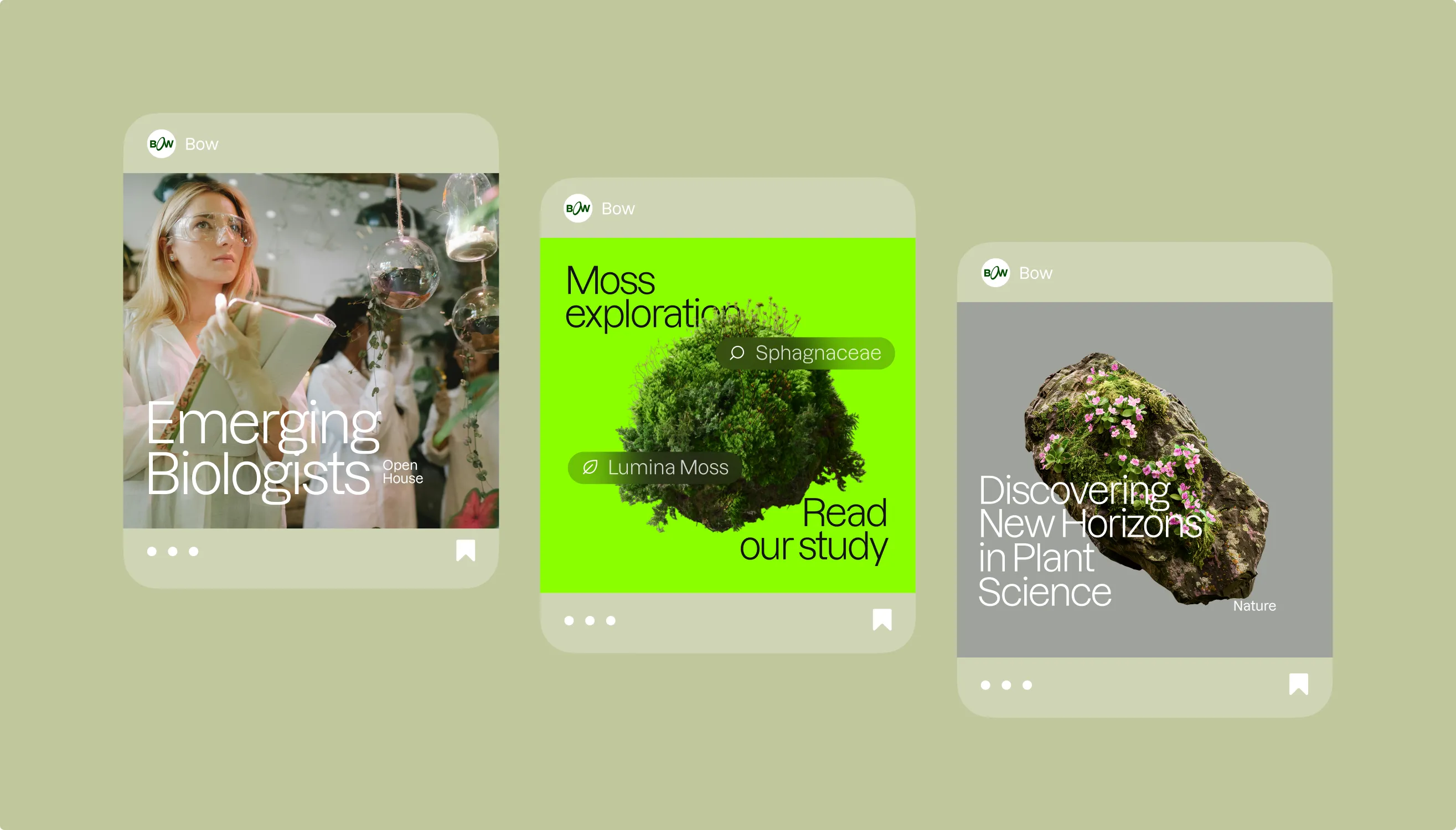 Three Bow social cards on a green background: Emerging Biologists, Moss exploration read our study, and Discovering New Horizons in Plant Science