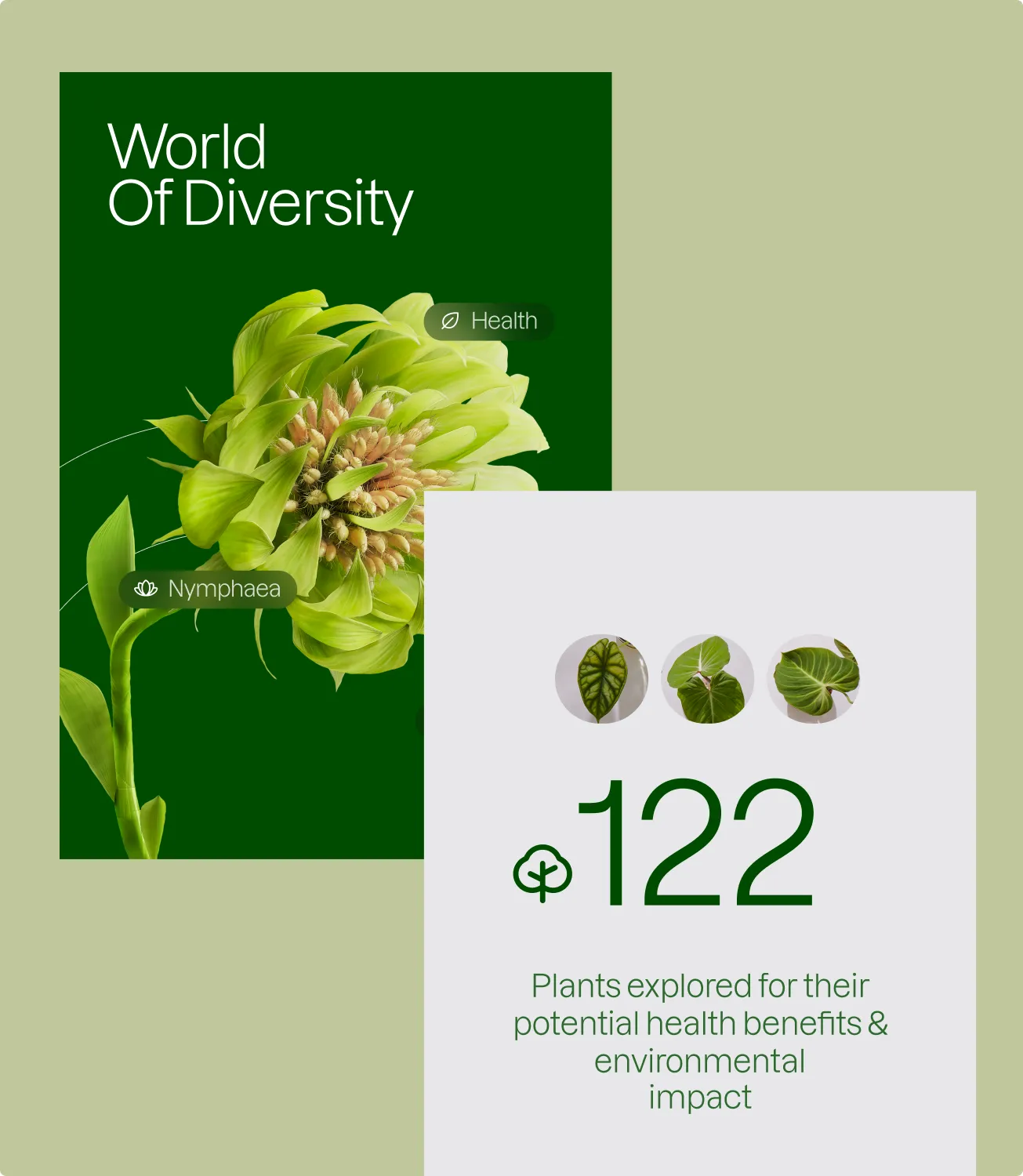 A World Of Diversity poster with a green bloom beside a card reading 122 plants explored for their potential health benefits and environmental impact