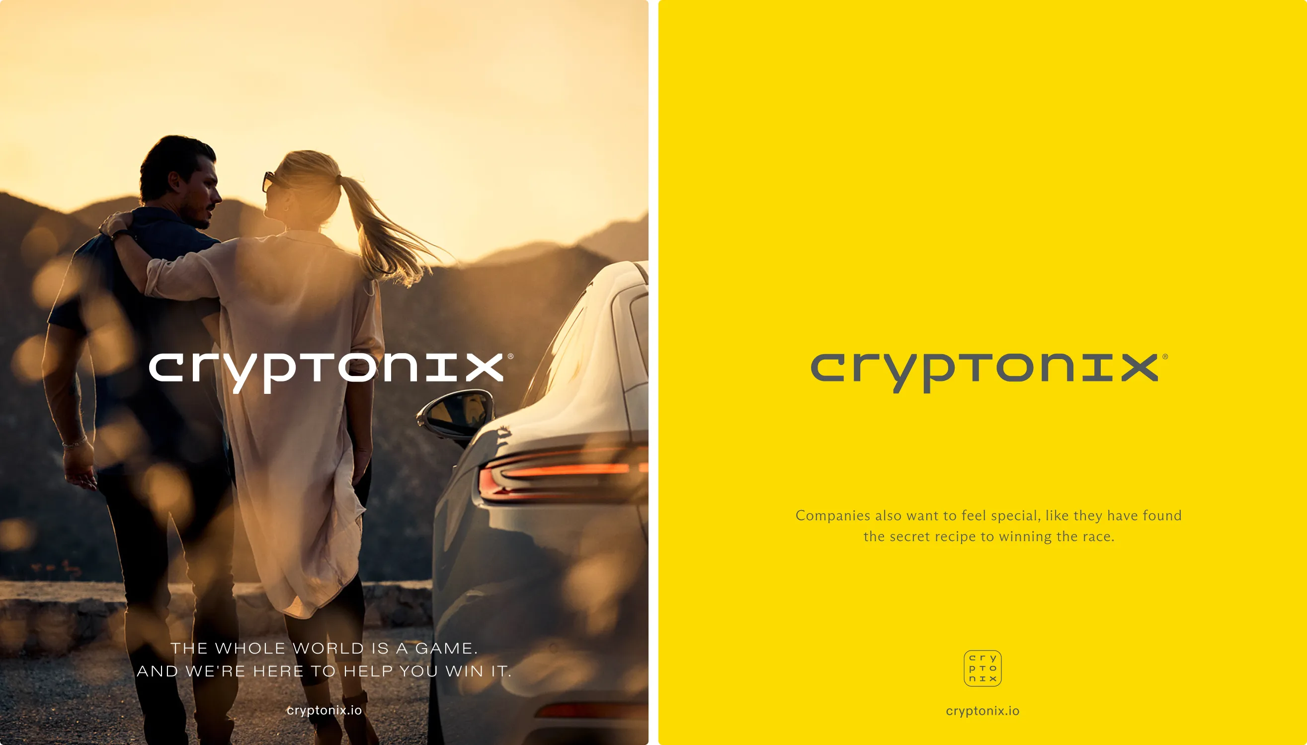 Cryptonix brand banner — the whole world is a game and we are here to help you win it