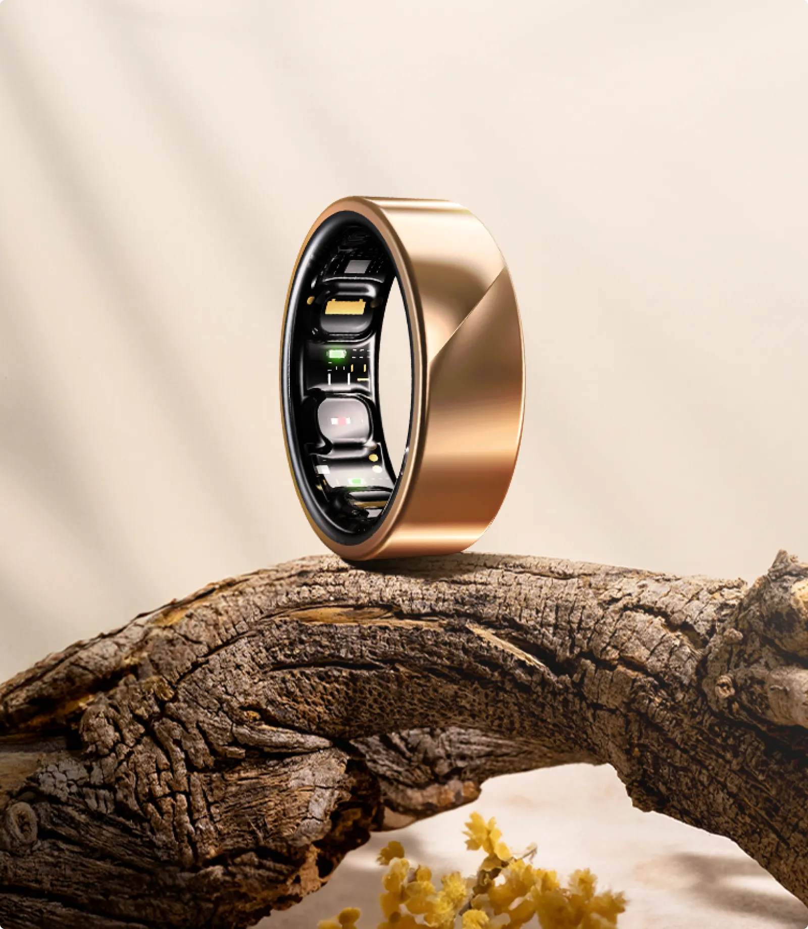 Gold Luna Ring standing on a branch