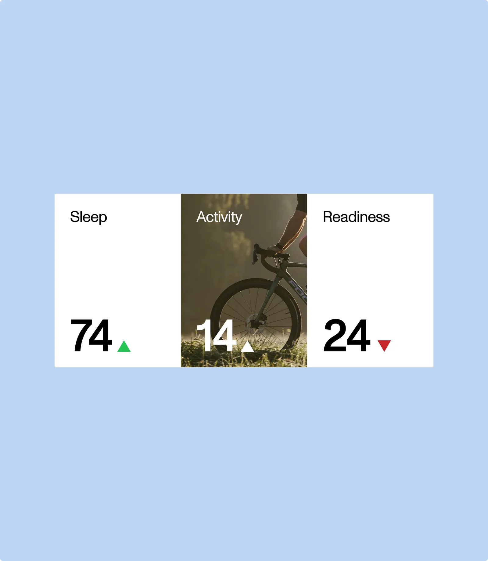 Sleep, Activity and Readiness score cards reading 74, 14 and 24