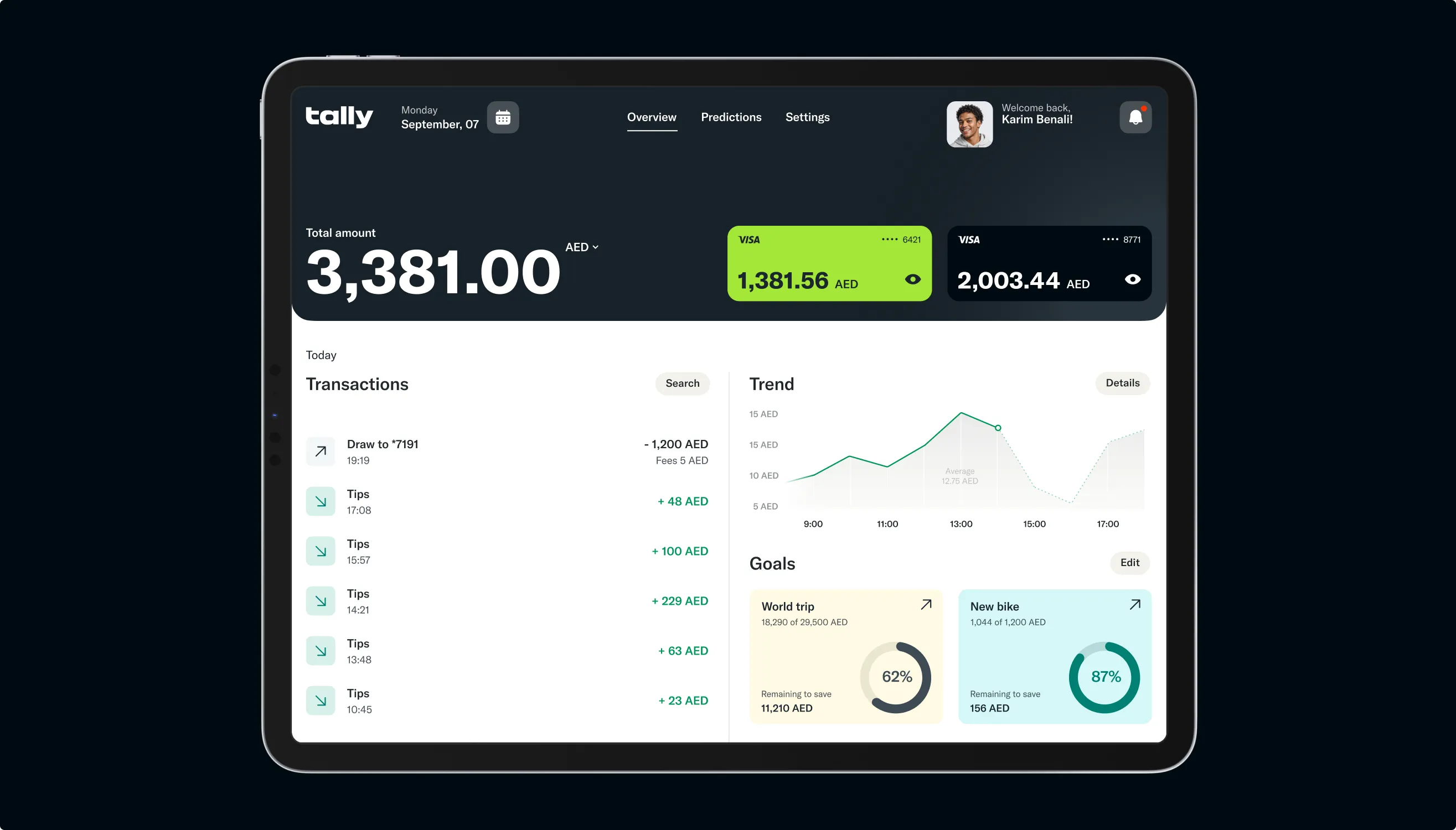 Tally financial dashboard on an iPad Pro