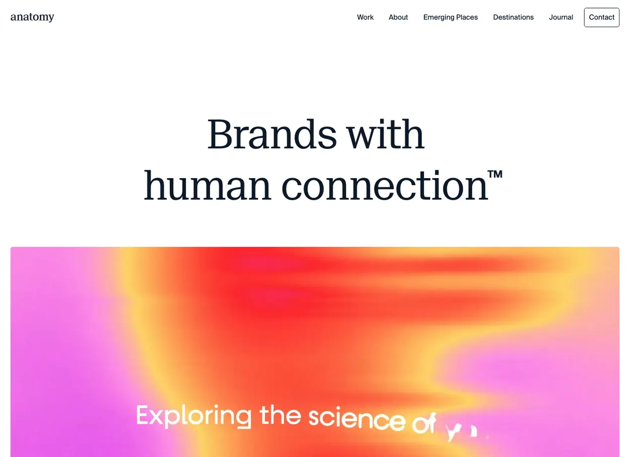 The Anatomy website