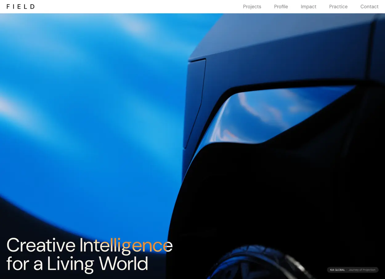 The FIELD.IO website