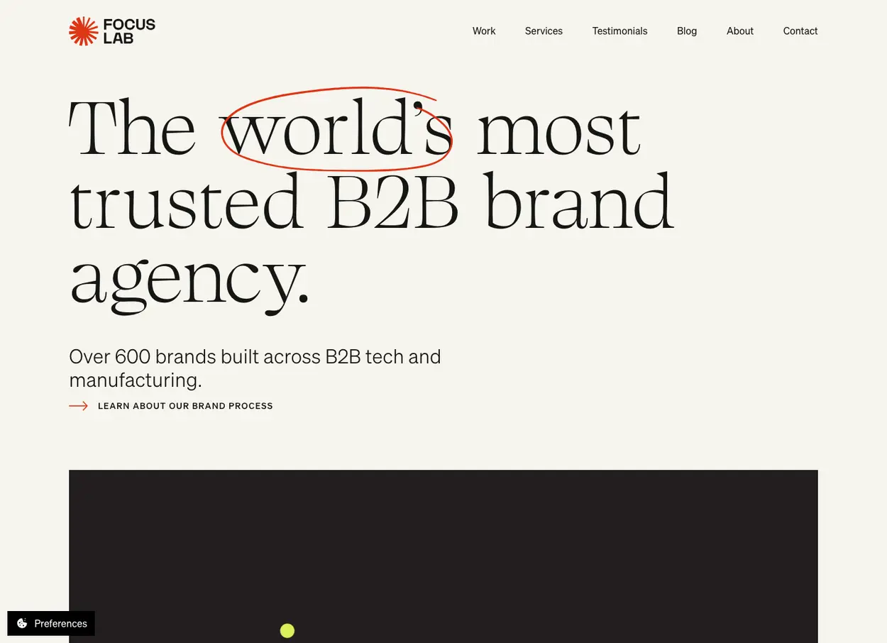 The Focus Lab website