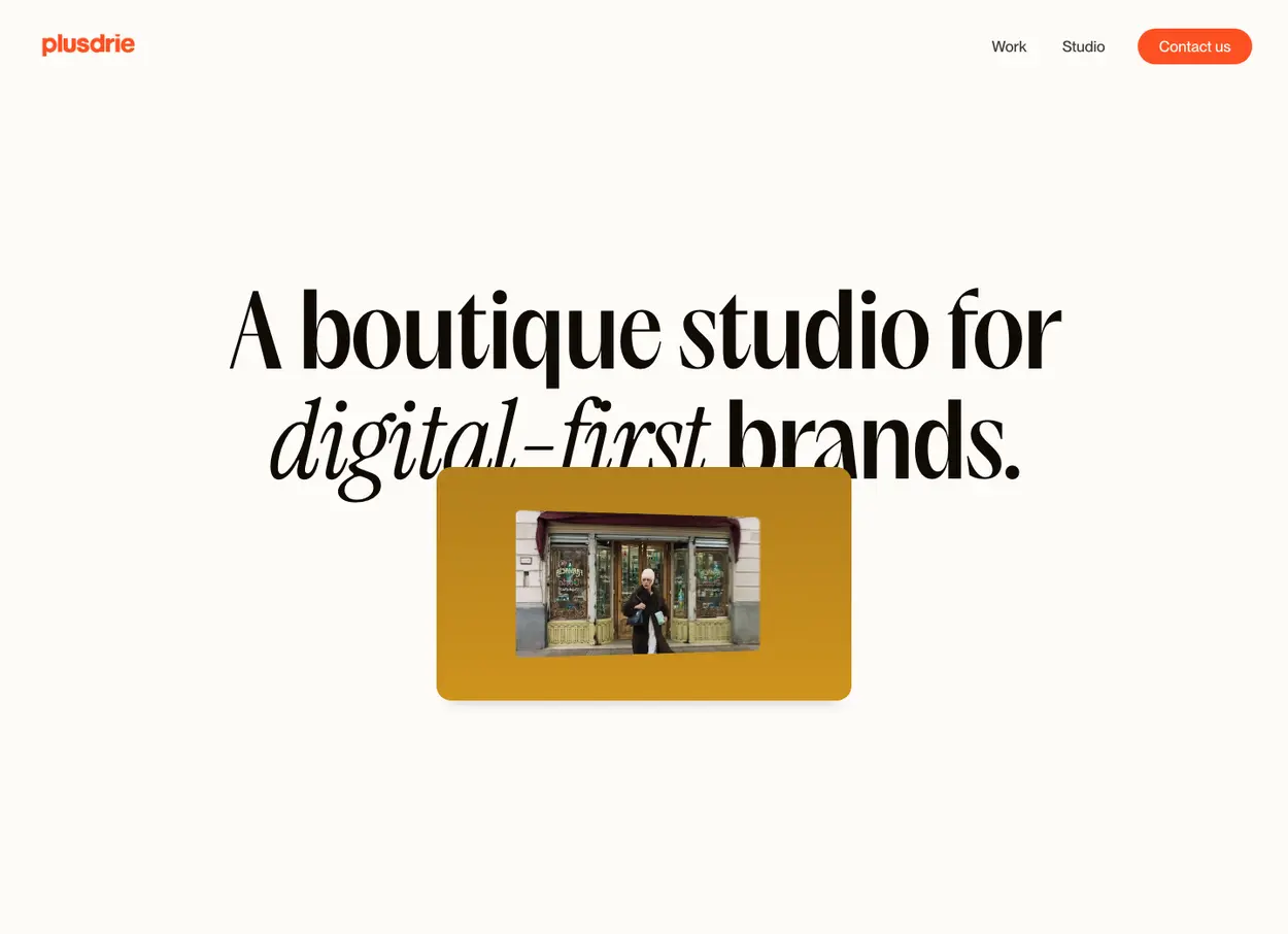 The Plusdrie website
