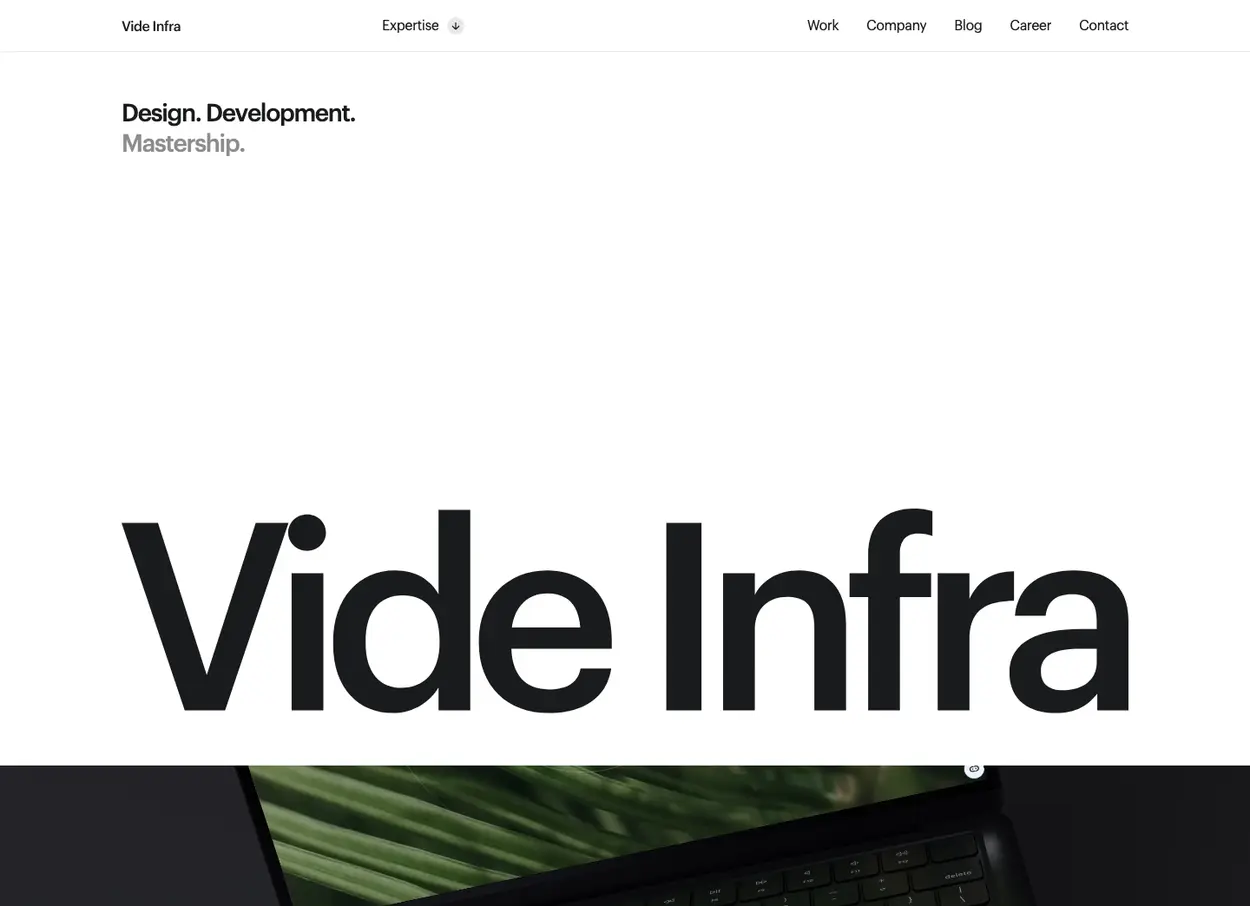 The Vide Infra website
